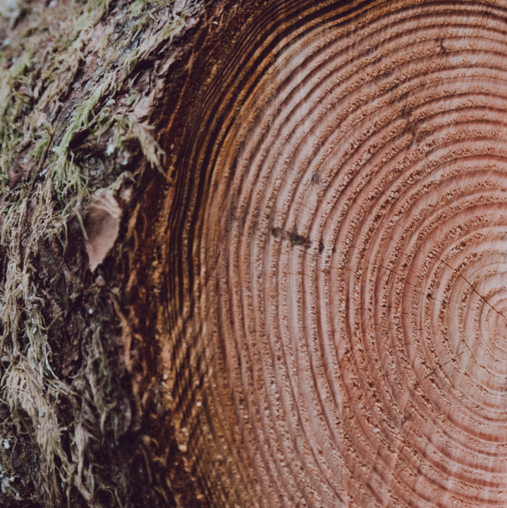 Blankets_1800x1200-warm-3 3